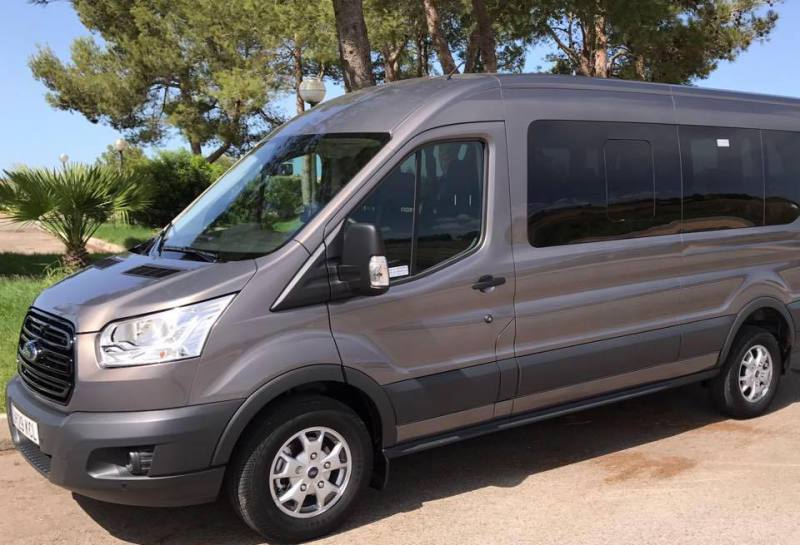 Hire private minibus to hotel Piscis in Puerto de Alcudia